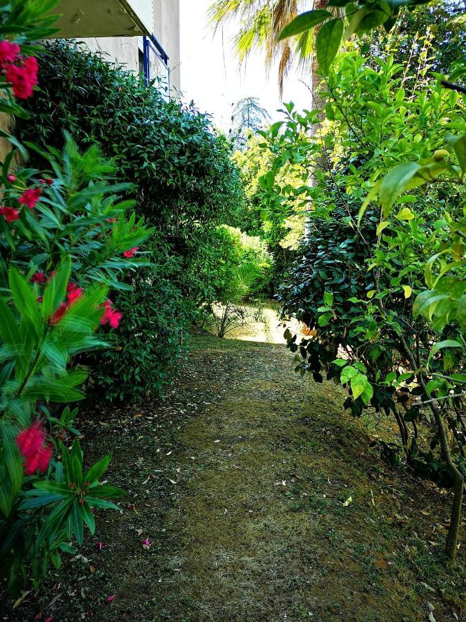 Plage La Salis 3 Chambres, Jardin - 3 Bedrooms Antibes Exteriér fotografie